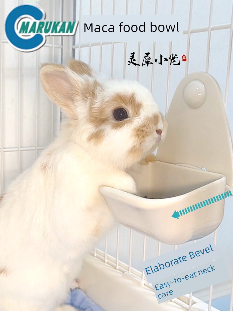 馬卡食盆兔子食盒防繙荷蘭豬碗可固定龍貓喂食器寵物用品倉鼠碗盆