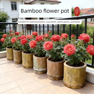 Planting Flower Pots with Bamboo Tubes, Bamboo Poles, Bamboo Materials, Bamboo Tubes, Old Thick Bamboo Tubes for Growing