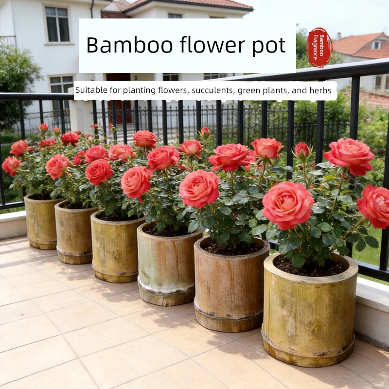 Planting Flower Pots with Bamboo Tubes, Bamboo Poles, Bamboo Materials, Bamboo Tubes, Old Thick Bamboo Tubes for Growing Vegetables and Flowers on the Balcony, and Cultivating Succulents