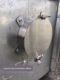 Stainless steel waste gas detection air volume measurement detection port circular pipe square pipe universal environmental protection waste gas detection port sampling port