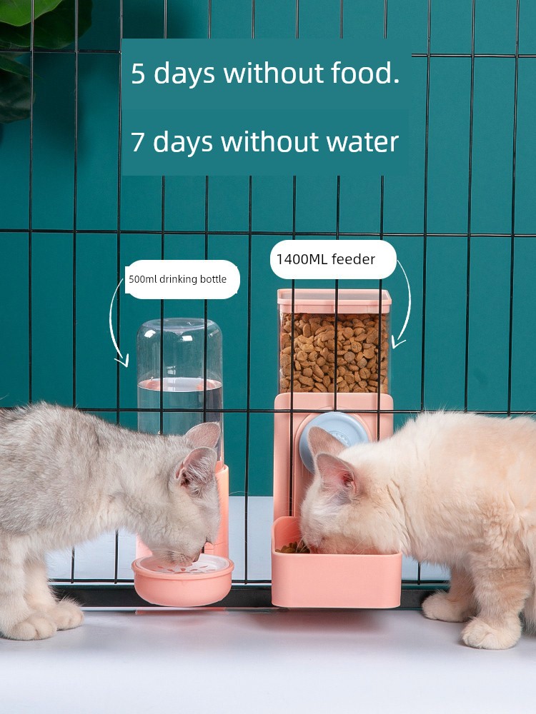 寵物自動餵食器解放雙手讓毛孩吃得開心生活更輕鬆