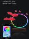 Colorful Slides-Circle Figure Display, Moving Nuclear Assembly, Ao Bing Background Table Lamp, Bai Qi and Cao Ren Model Storage