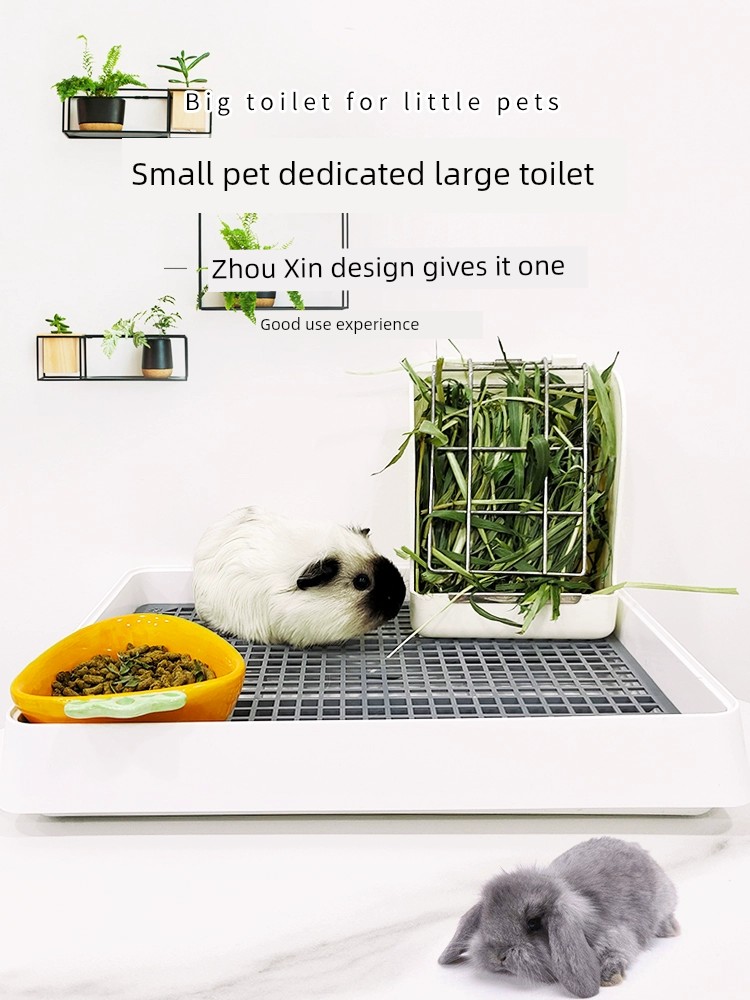 小寵寵物荷蘭豬廁所 天竺鼠平板尿盆 兔兔尿盤 大龍貓豚鼠專用 便盆用品 (3.8折)