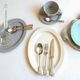 〈青森食堂〉日本入青芳Classic Satin不锈钢甜品黄油刀餐具勺叉