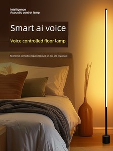 Simple Modern Led Floor Lamp, Ambient Light for Living Room, Vintage Style Bedroom Standing Lamp, Bedside Decorative Lig