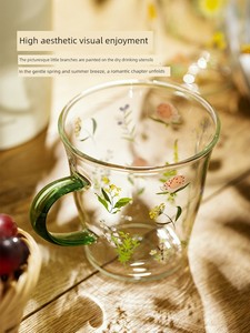 Modern Housewife For Home High Borosilicate Glasses