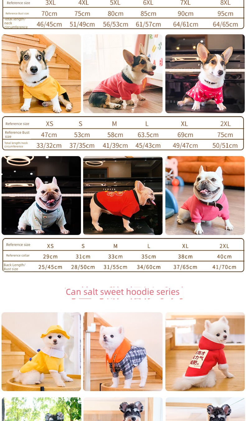 Four feet Pomeranian Chenery Miniature dog puppy poodle