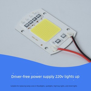 Led Floodlight Panel 220V High-Brightness Lamp Beads Driver-Free Spotlight Street Light Industrial and Mining Lighting S