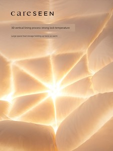 Kangerxin Five-Star Spring & Fall Summer Duvet Inner