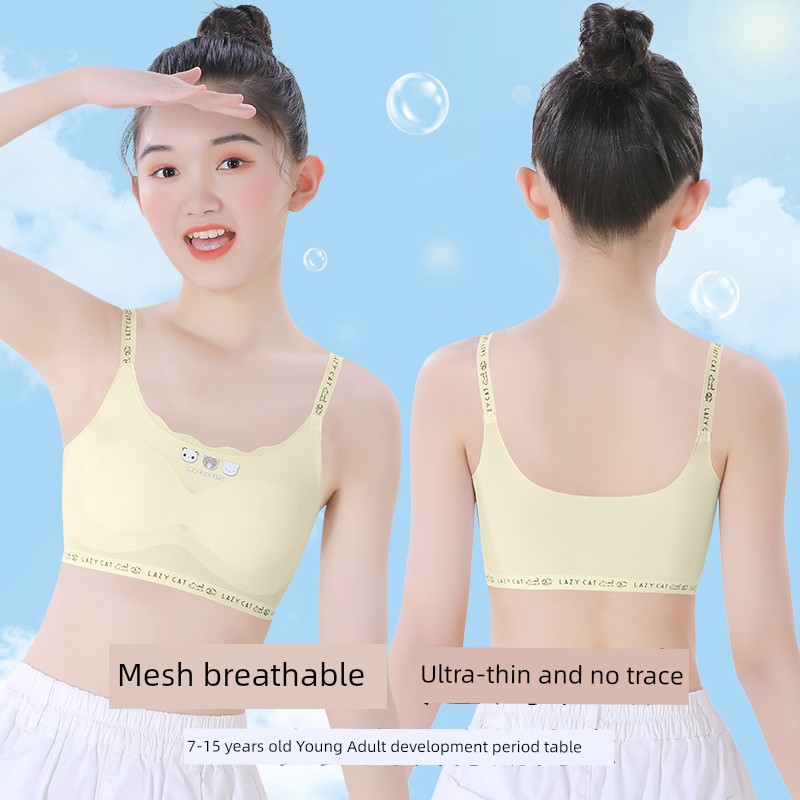 Girls' Underwear Developmental Primary School Student Youth Girl Junior High School Student Vest 12 Years Old Sling Children's Tube Top Young Adult — 5