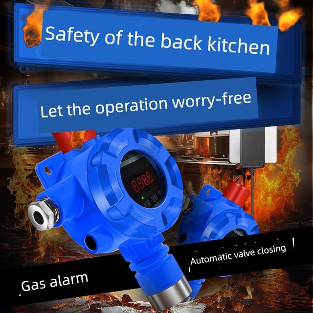 Combustible gas detection alarm Catering Industry and Commercial Hotel Inspection Natural Gas Commercial Gas Detector