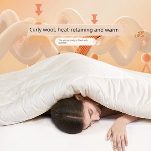 Fuanna Wool Quilt 100% Pure Wool Australian Cashmere Quilt Winter Quilt Thickened Warm Spring and Autumn Bedding Cotton 