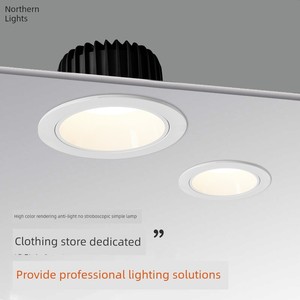 Northern Lights Lighting Clothing Store Special Anti-Glare Downlight Super Bright High Display Cob Hole Light Embedded L
