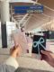 Korean bow leather passport clip high-looking girl heart travel abroad air ticket ID card storage card bag