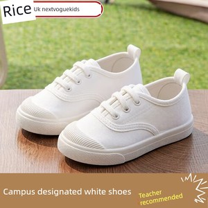 Boys' Canvas Shoes, White Soft-Soled Breathable Low-Top Cloth Shoes, School Entrance Student White Shoes, Boys' 2026 New