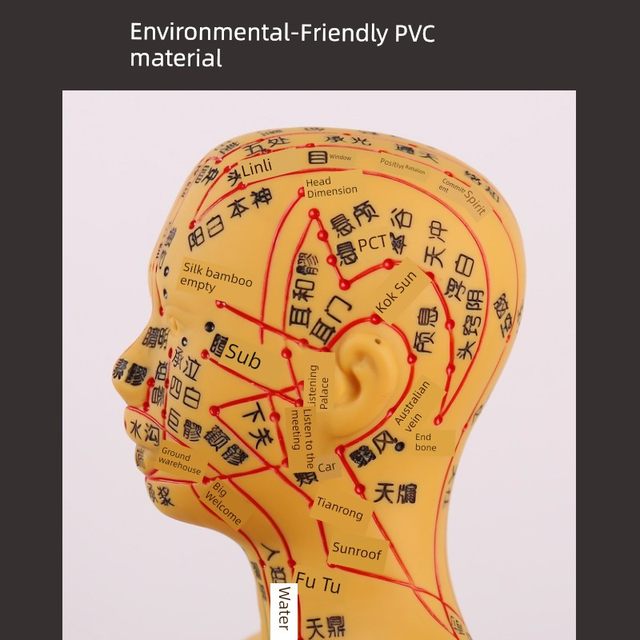 Super clear meridians and men's body model Human body meridian model Traditional Chinese medicine bronze acupuncture acupoint model