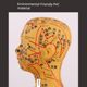 Super clear meridians and men's body model Human body meridian model Traditional Chinese medicine bronze acupuncture acupoint model