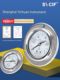 Shanghai Yichuan Instrument Factory Shock-resistant Pressure Gauge Anti-Shock-resistant Oil-filled Axial Belt Installation YN-60/100/Z/ZT
