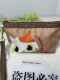Cat cute hand-held bag coin wallet key bag casual storage bag ID bag cartoon small coin wallet