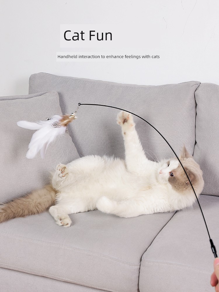 趣味貓咪逗貓棒自嗨神器幼貓自動羽毛吸盤鈴鐺玩具