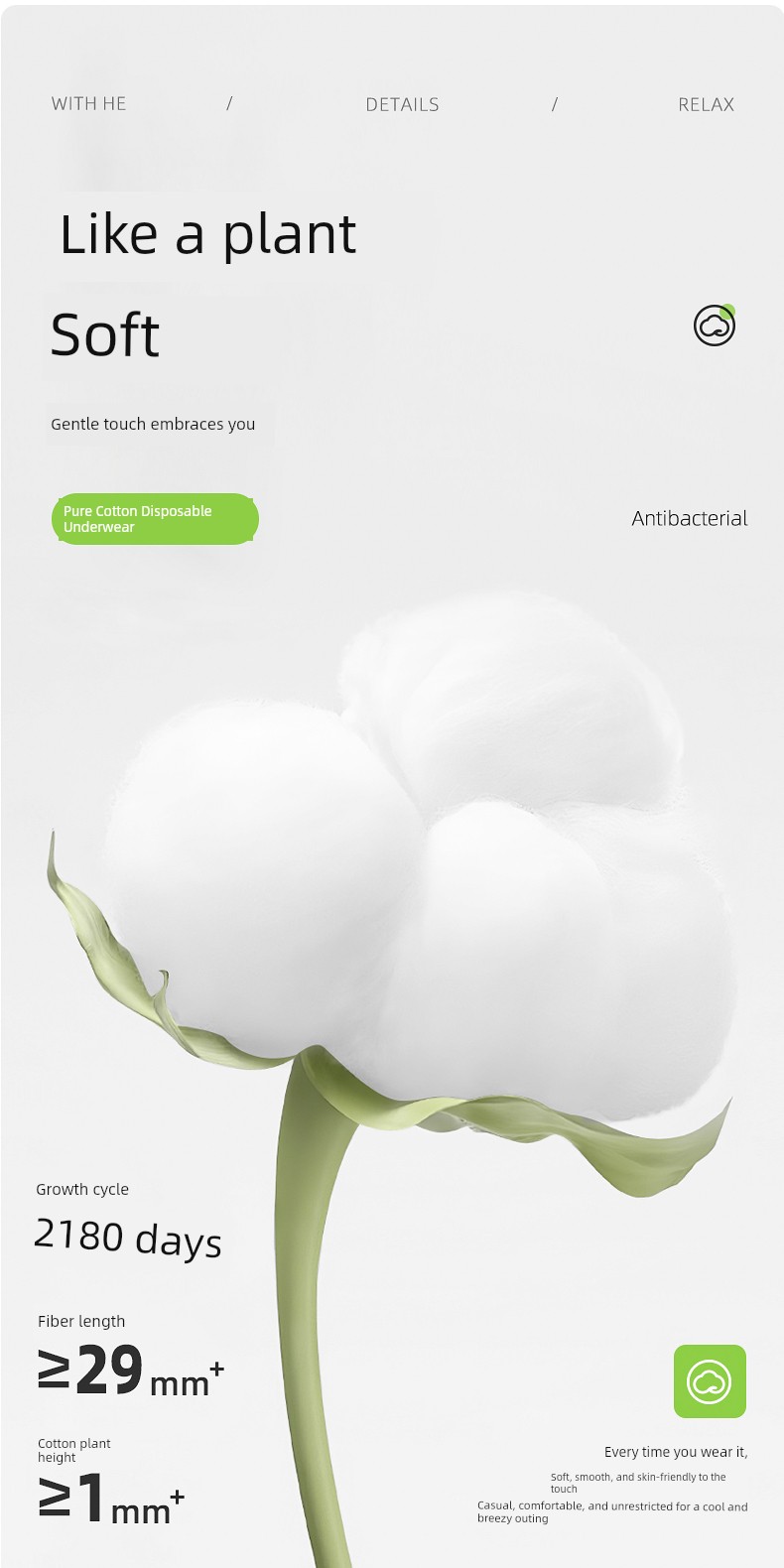 Mian Xiaoran Pure Cotton Disposable Underwear 7A Antibacterial Maternity Travel Daily Disposable Pants Eo Sterilized No-Wash Direct Wear 8 — 10