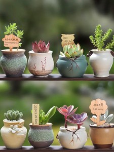 Bamboo Gardening Inserts Succulent Plant Label Inserted Soil Bamboo Plate Bamboo Landscape Logo Accessory Pen Export Tre