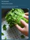 Kitchen sink drain mat square rubber insulation mat wash vegetables and fruit pool anti-blocking pad hollow anti-slip mat