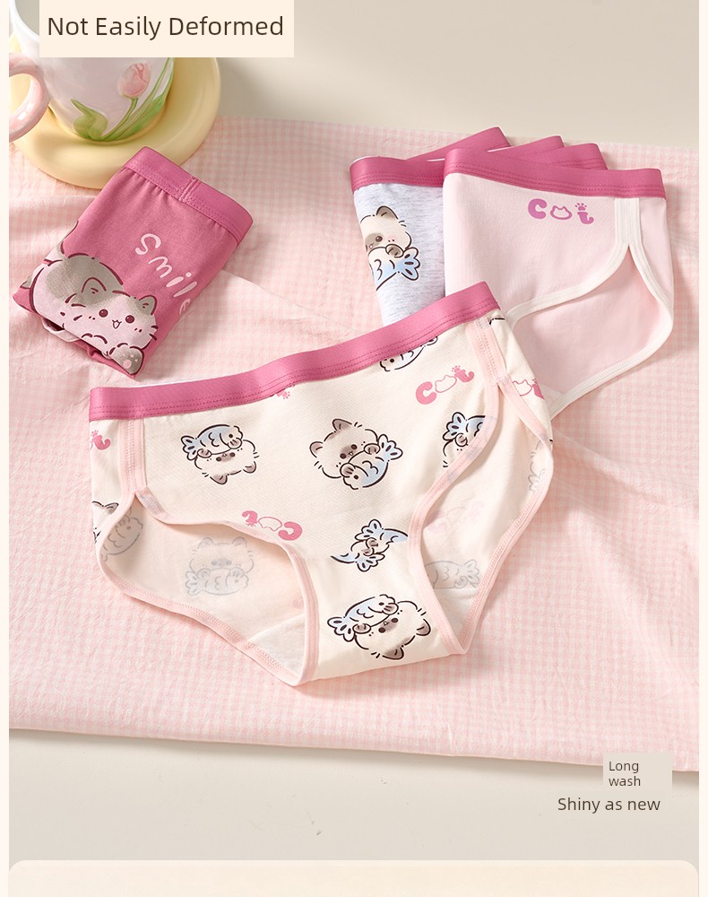 Girls' Underwear, Young Girls' Briefs, Children's Pure Cotton A-Class, for Developmental Period, Elementary School Students, 12-Year-Olds, Middle School — 17