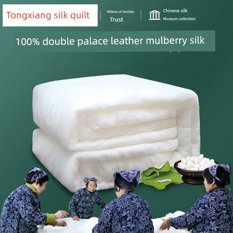 Authentic Silk Quilt, Pure Mulberry Silk, Thickened for Spring and Autumn, Winter Quilt, Air-Conditioning Quilt, Mother-Child Quilt, Core Quilt, Suitable for All Seasons Aa