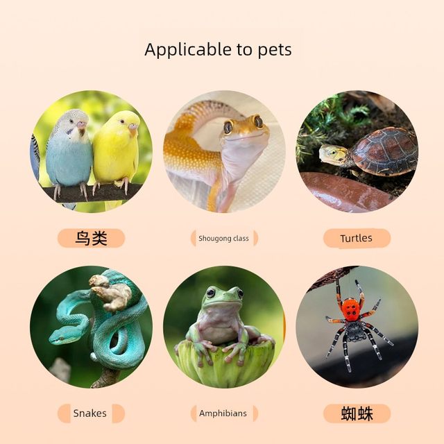 Thermometer, precise and high-precision indoor electronic mini dry thermometer meter for turtle crawling pet breeding