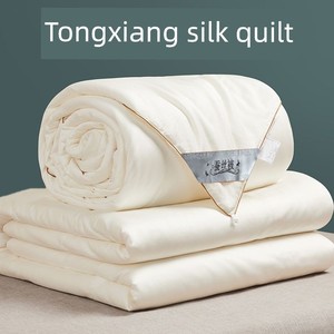 Tongxiang Silk Quilt 100 Mulberry Silk Quilt for Spring and Autumn Summer Blanket Airable Cover Student Duvet Duvet Inse