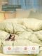 Summer ice silk four-piece set summer bed sheet summer cool quilt cover spring and autumn three-piece set bedding 2025 new model