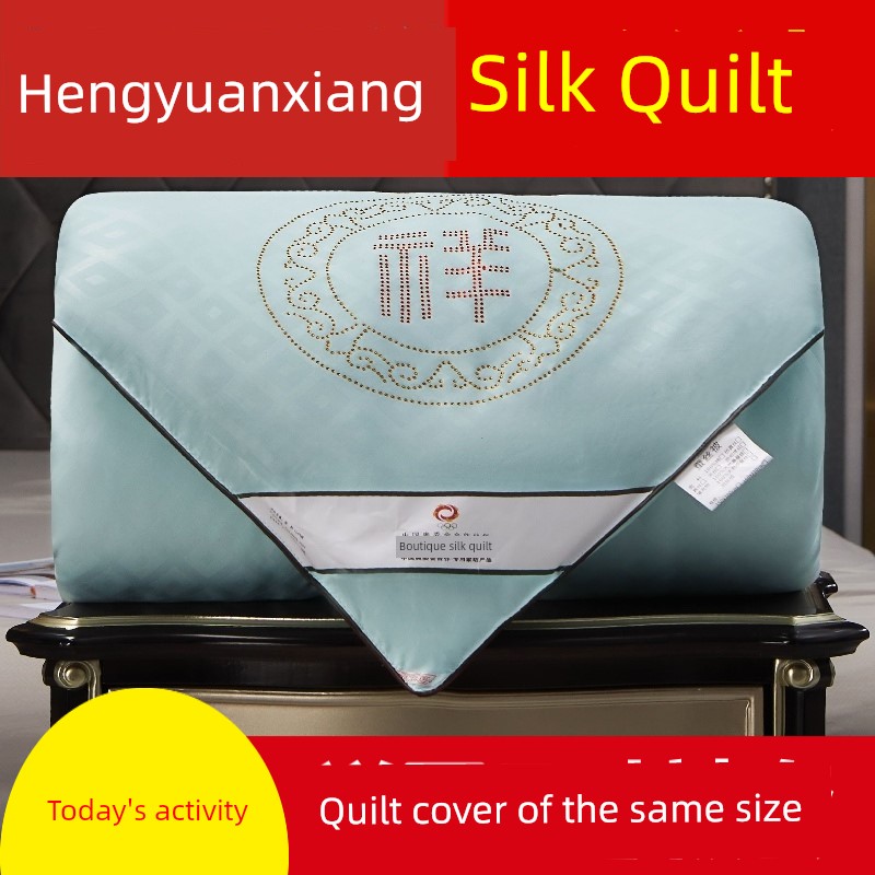 Authentic Silk Quilt 100% Mulberry Silk Cotton Quilt Quilt for Spring and Autumn Double Quilts Extra Thick Winter Quilt Heattech Pure Cotton Duvet Insert