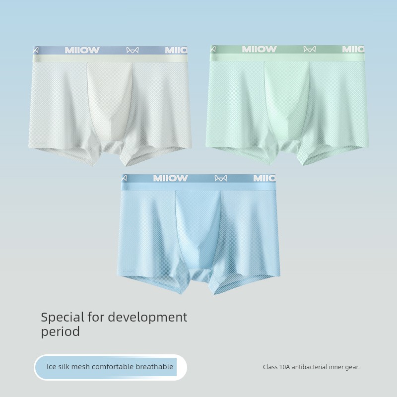 MiiOW Kids Youth Ice Silk Summer Children's Underwear — 7