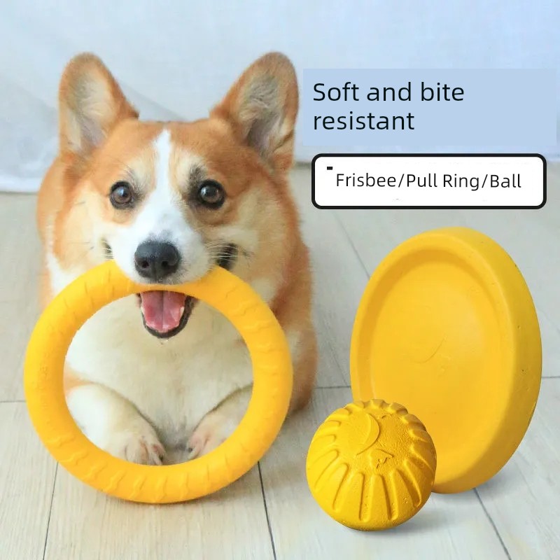 狗狗玩具耐咬磨牙專用飛盤寵物用品大全拉力環訓犬貓球