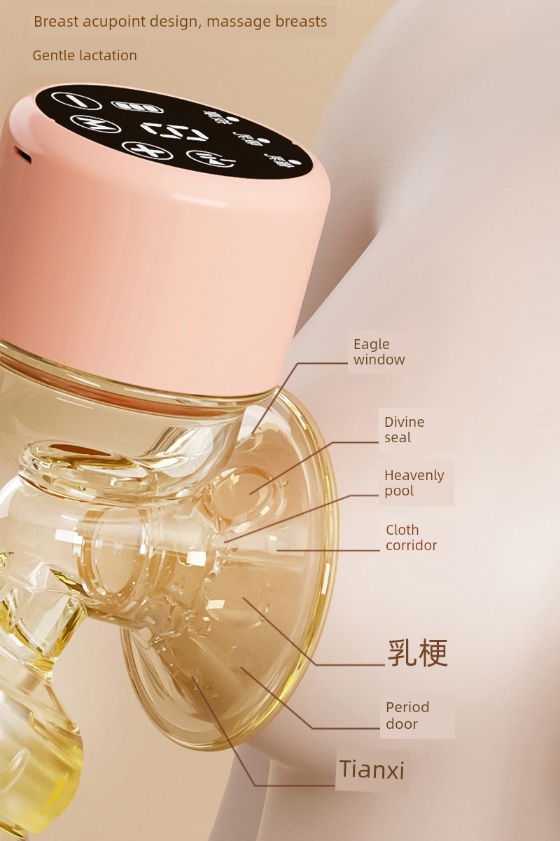 [Same Style with TikTok] Cloth Bichon Electric Breast Pump Breast Milk Smart Massage Portable Integrated Mute Milking — 24