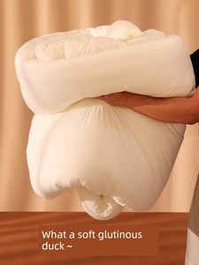 Soft Glutinous 50% Antibacterial Winter Thicken Thermal Synthetic Quilt