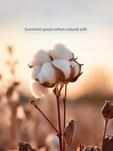 Luolai Home Textile Four-Piece Jacquard Beddings Accessible Luxury Fancy Minimalist Bed Sheets High-End Duvet Cover Duve