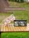Outdoor camping portable 38 light storage bag accessories detachable partition portable debris travel storage box