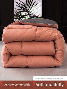 Thickened Heattech Winter Dormitory Single Student Duvet
