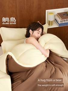 Lying Island Thickened Heattech Fluffy Antibacterial Air Conditioner Winter Quilt