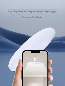 Zhengtai High-Power Workshop Lighting LED Bulb