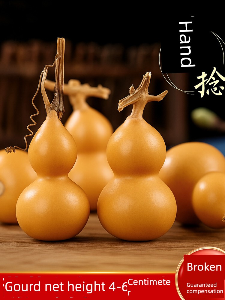 Natural Small Gourd Toy with a Dragon Head, Chubby Hand-Twisted Plaything, Premium Wild Gourd, Mini Home Living Room Decoration