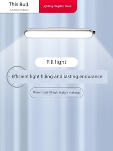 Bull Bathroom Special Punch-Free Rechargeable Mirror Headlight