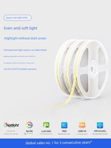 Moonlight High-Brightness Eye-Protection Cob Low-Voltage Light Strip 24V for Home Living Room Ceiling Groove Linear Led 