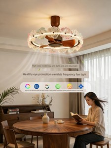 Huayi Lighting Restaurant Fan Light, Ceiling Fan Light, Vintage Style, Light Luxury, High-End Feel, Fan Ceiling Light, E