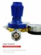 W21.8-14 Standard Gas Pressure Reducer Mixed Gas Pressure Reducer General Pressure Reducer 8-liter Standard Gas Bottle Pressure Reducer