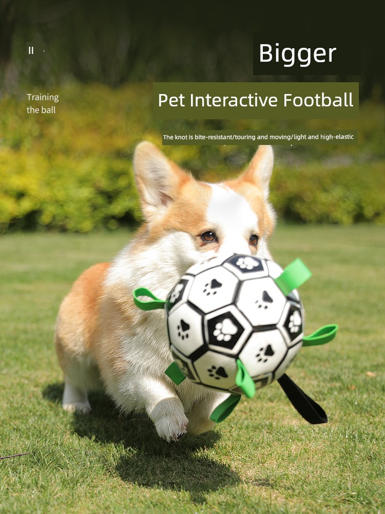 狗狗玩具球 寵物用品 耐咬寵物球 訓練專用狗足球