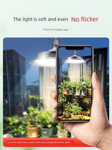 Plant Grow Light, Blueberry Full-Spectrum Sunlight, Succulent Greenhouse Vegetable and Flower Indoor Balcony Green Plant
