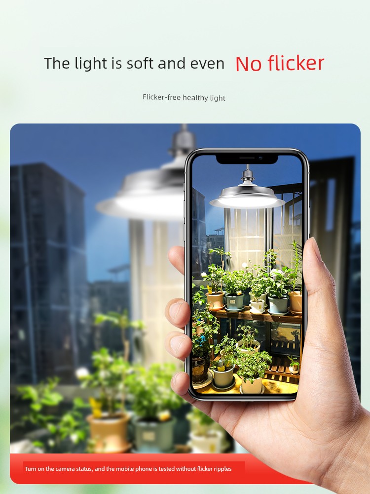 Plant Grow Light, Blueberry Full-Spectrum Sunlight, Succulent Greenhouse Vegetable and Flower Indoor Balcony Green Plant Light